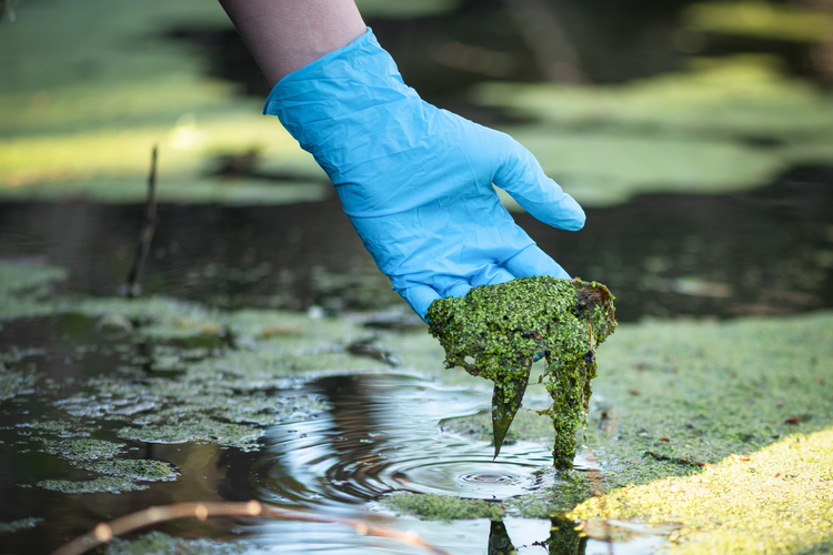 Training Penanggung Jawab Pengendalian Pencemaran Air (PPPA) Sertifikasi BNSP: ( 20-22 April 2026, Yogyakarta )(27-29 April 2026, Surabaya)